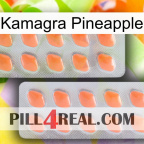 Kamagra Pineapple 27